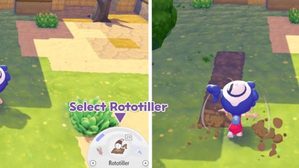 《宝可梦Pokopia》种田玩法说明 宝可梦Pokopia怎么种田