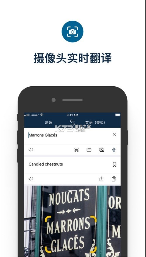 deepl论文翻译appv26.9