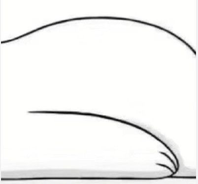 微信朋友圈小熊怎么设置 朋友圈小熊怎么弄