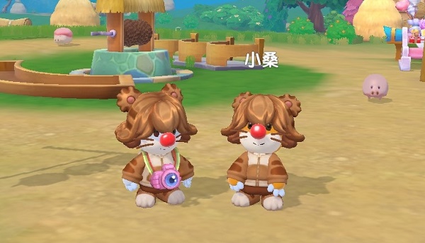 摩尔庄园老虎小桑活动玩法介绍