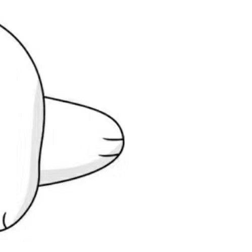 微信朋友圈小熊怎么设置 朋友圈小熊怎么弄