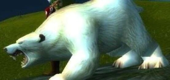 魔兽世界怀旧服熊宝宝哪个好 怀旧服稀有熊宝宝有哪些