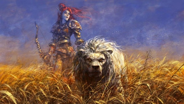 魔兽世界怀旧服猎人带什么宝宝升级快，推荐乌龟与熊