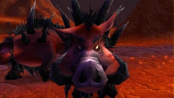 魔兽世界怀旧服野猪宝宝哪个好，东瘟疫之地野猪宝宝才是王道