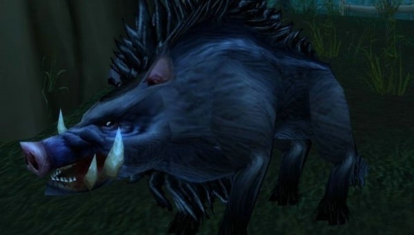 魔兽世界怀旧服猎人野猪宝宝学什么技能 怀旧服猎人野猪技能详解