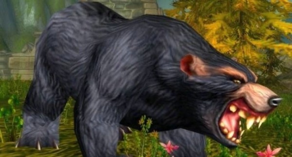 魔兽世界怀旧服熊宝宝哪个好 怀旧服稀有熊宝宝有哪些