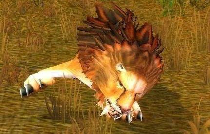 魔兽世界怀旧服扫荡者在哪刷 扫荡者位置坐标一览