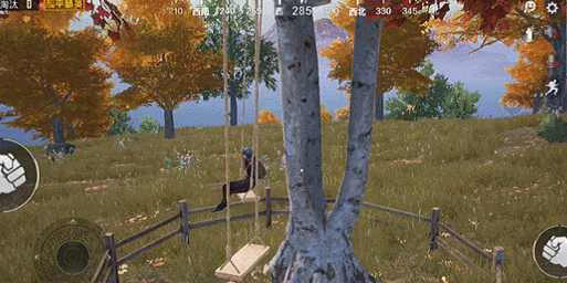 和平精英在哪里荡秋千，枫树林中的秘密坐标