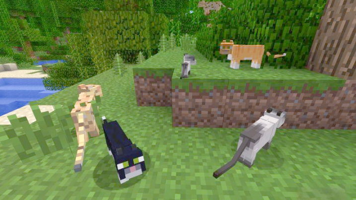 我的世界豹猫怎么驯服，最快获得信任的步骤与注意事项