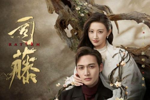 看司藤电视剧的软件有哪些