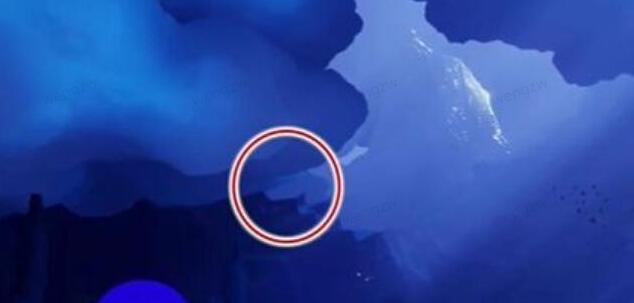 光遇拾光季先祖出现地点