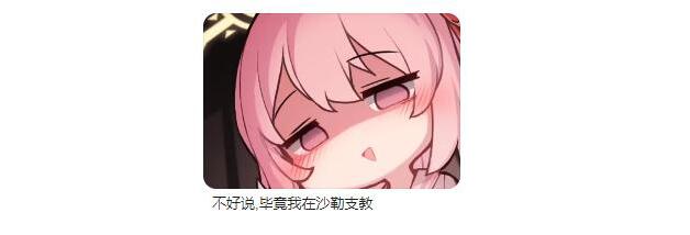 蔚蓝档案沙勒支教是什么梗