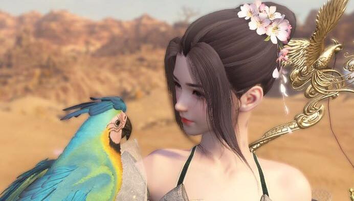 逆水寒手游秒伤查看方法