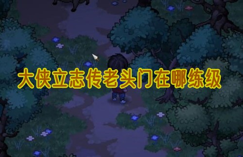 大侠立志传老头门在哪练级