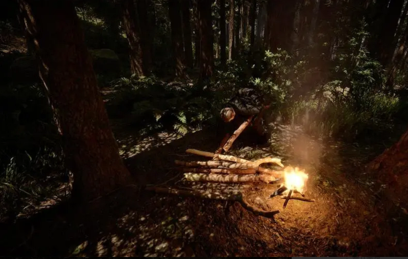 森林之子结局攻略，留下或离开触发条件详解