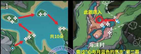 原神海露花采集路线