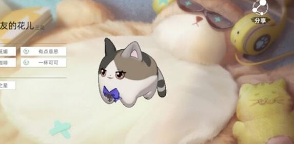 猫之城猫球训练方法