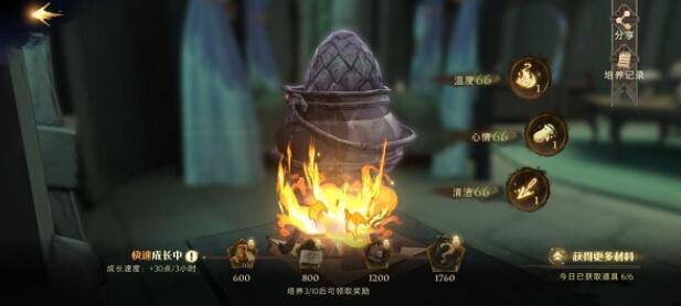 哈利波特龙蛋养成方法攻略